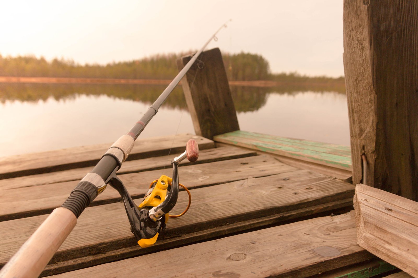 Fishing in Azerbaijan: Where You Can Fish, Do You Need a License, and What Rules Apply in 2026?