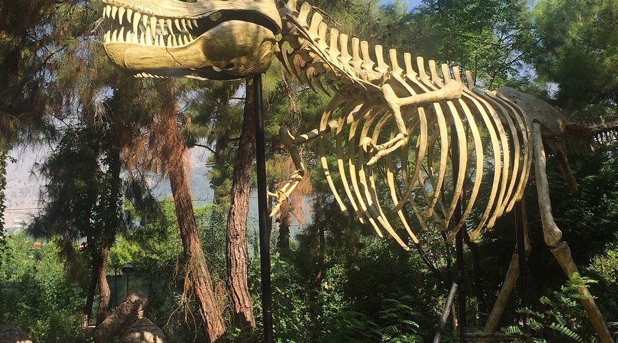 Dino Park in Baku 2025: Tickets, Attractions and What to Expect